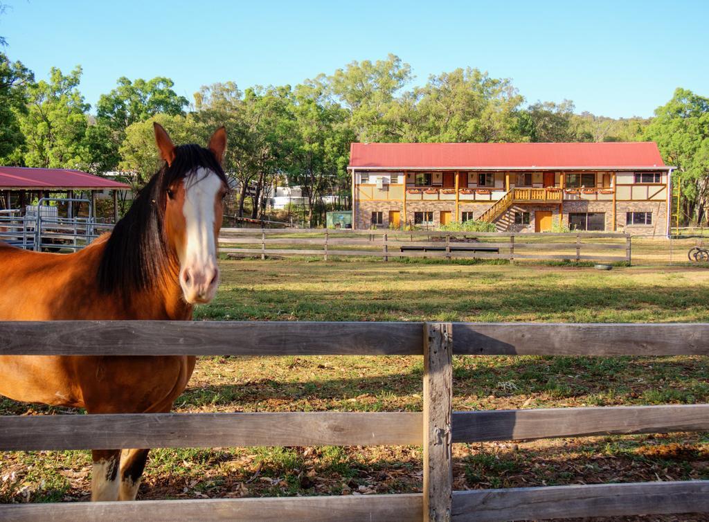 Pilliga Pottery Creative Farmstay Кунабарабран Стая снимка